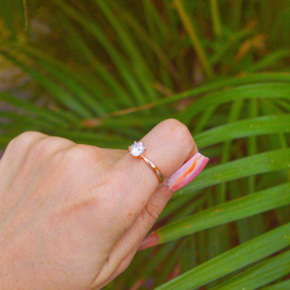 Solitaire Small Stud Ring ( Rose Gold )